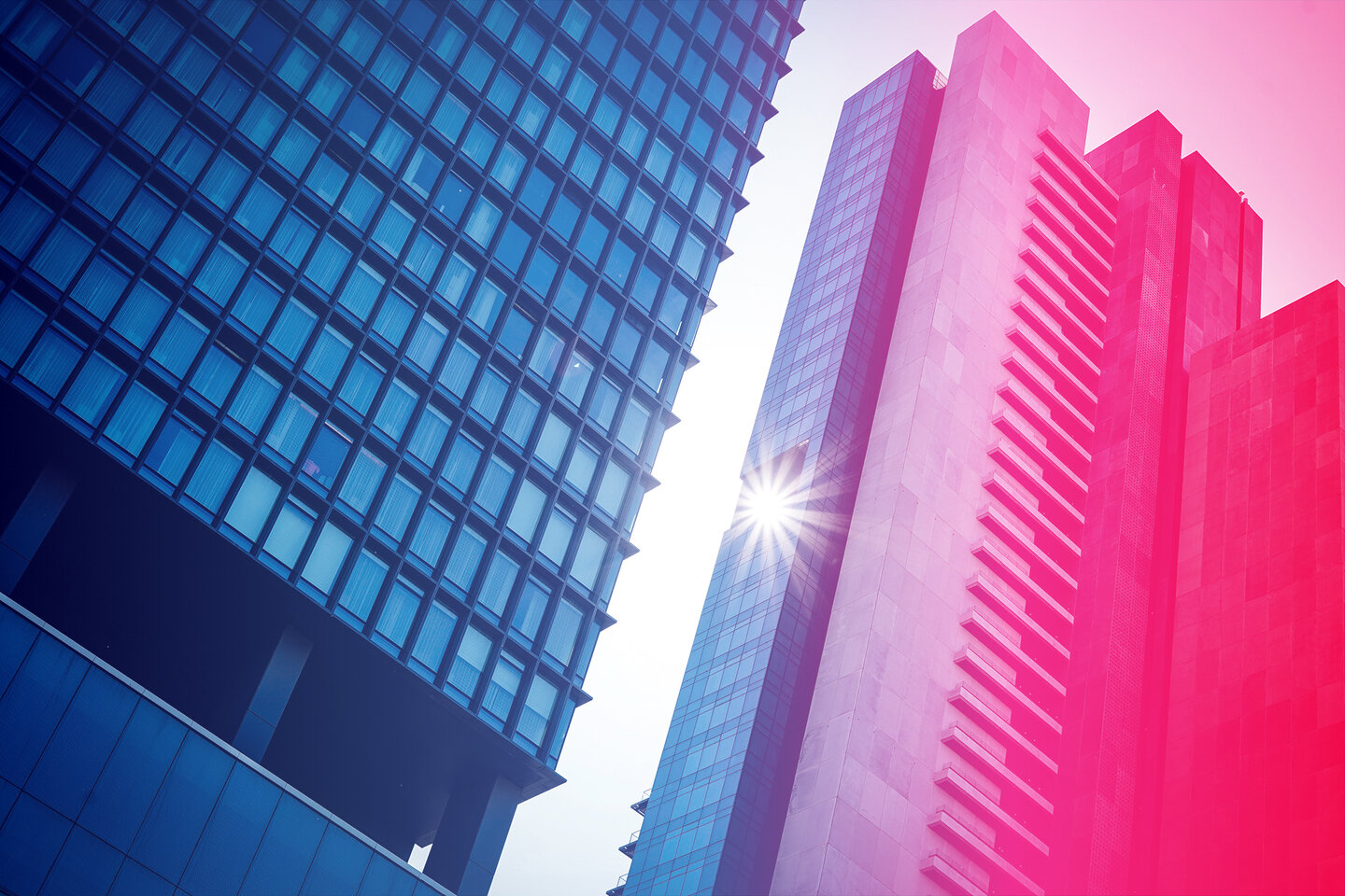 Procurement & Administration Specialist